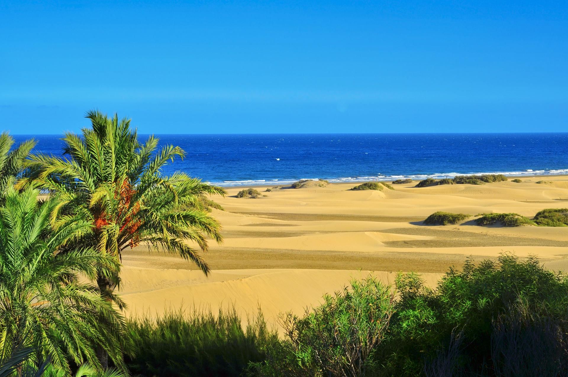 Image?url=https   Image Stock2.mercuryholidays.co.uk Resized Scenery Europe Spain Gran Canaria W1920 Maspalomas Sand Dunes &w=1920&q=80