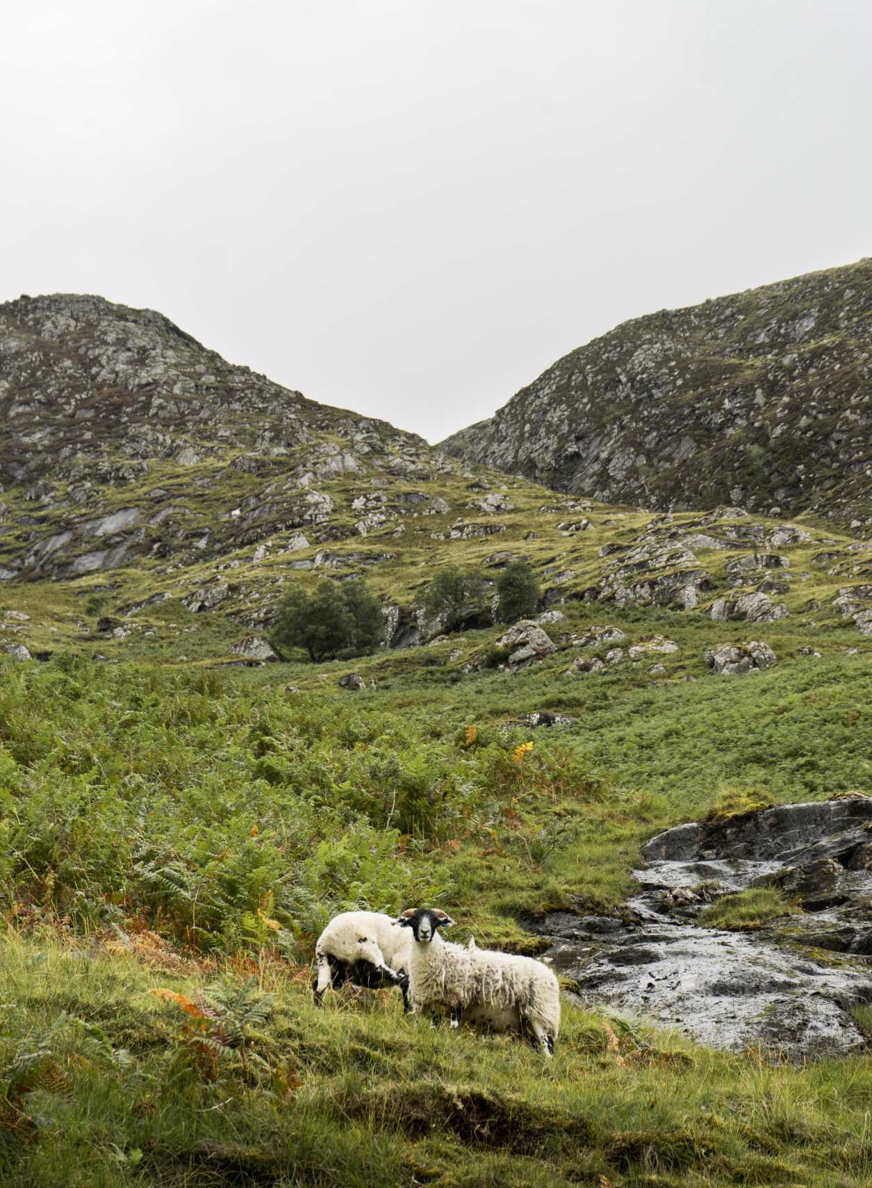 The West Highland Way